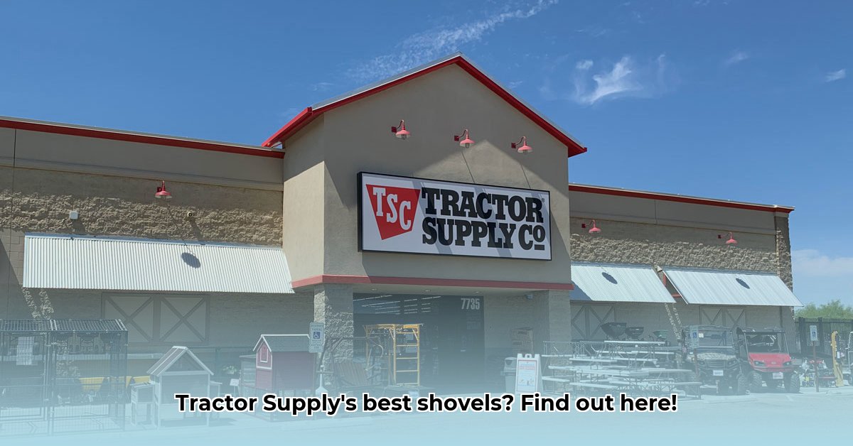 shovels-at-tractor-supply